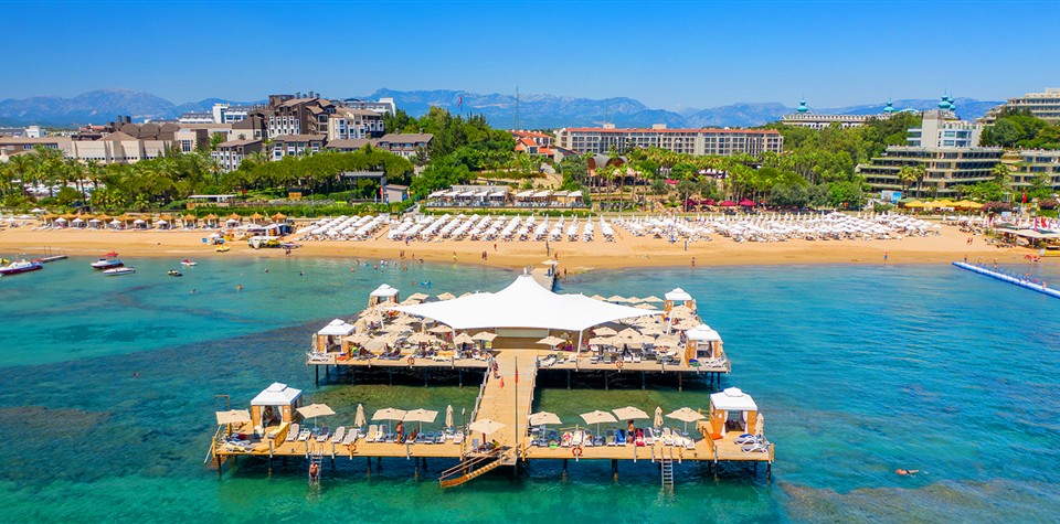 the-sense-deluxe_292328