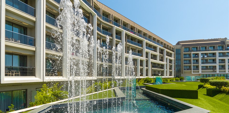 the-sense-deluxe_655436